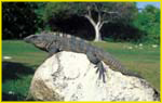 Yucatan Colonial and Nature-35