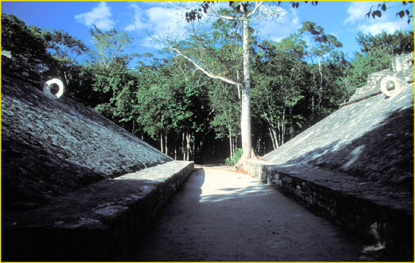 Maya North East-32